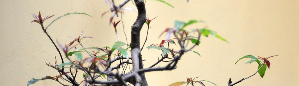 Say No to the Nanny State